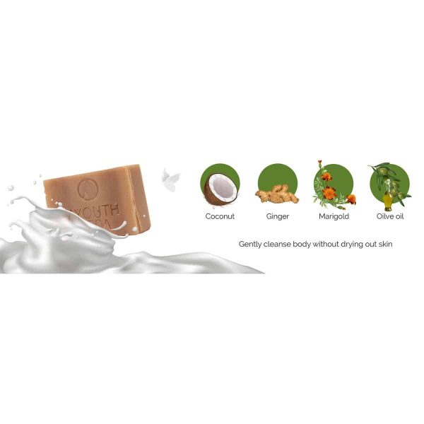 Ayouthveda Delicate Skin Pure Handmade Castile Soap With Neem & Tulsi (110 Gm) - Image 3