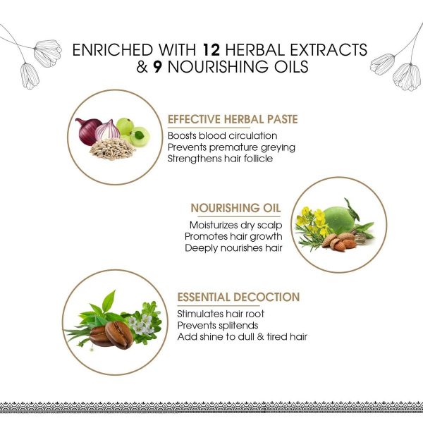 Ayouthveda Protein Hair Oil With Bhringraj and Coffee Beans (100 Ml) - Image 2