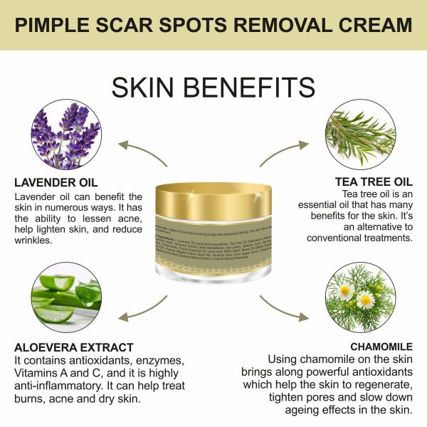 Body Gold Anti Acne Cream (50 Gm) - Image 4