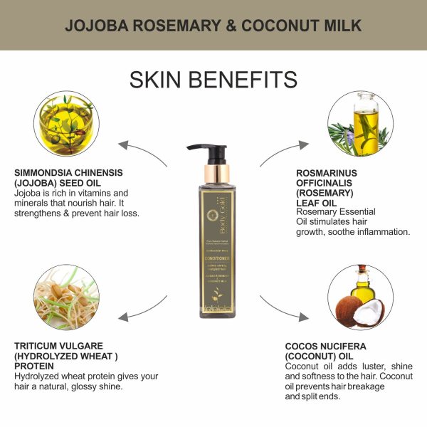 Body Gold Hair Conditioner - Jojoba Rosemary & Coconut Milk (200 ml) - Image 5