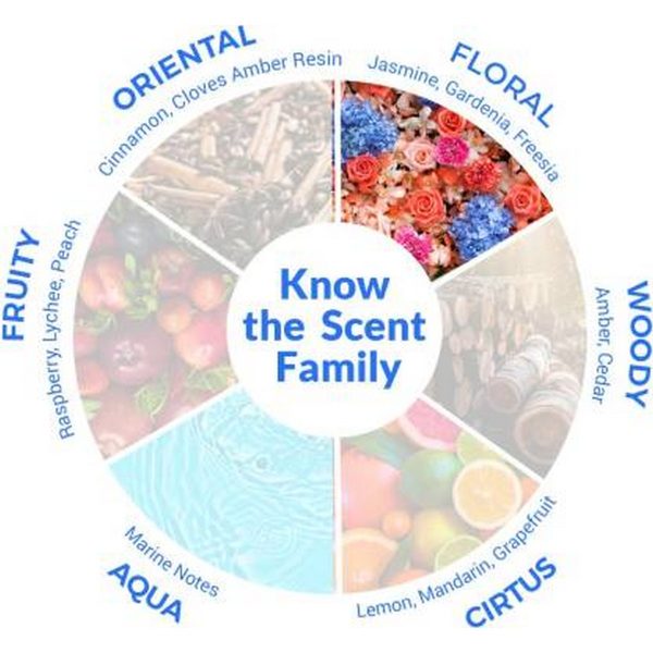 FOGG Scent Beautiful Secret For Women (100 ml) - Image 3