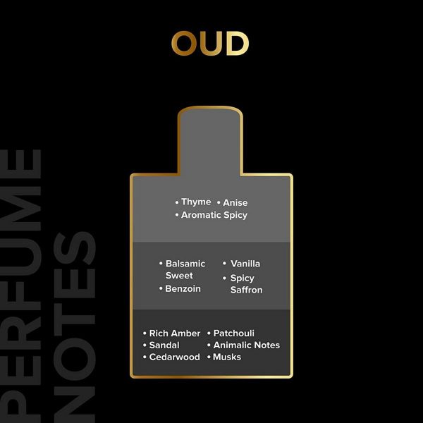 Villain Oud Eau De Parfum For Men (100 ml) - Image 7