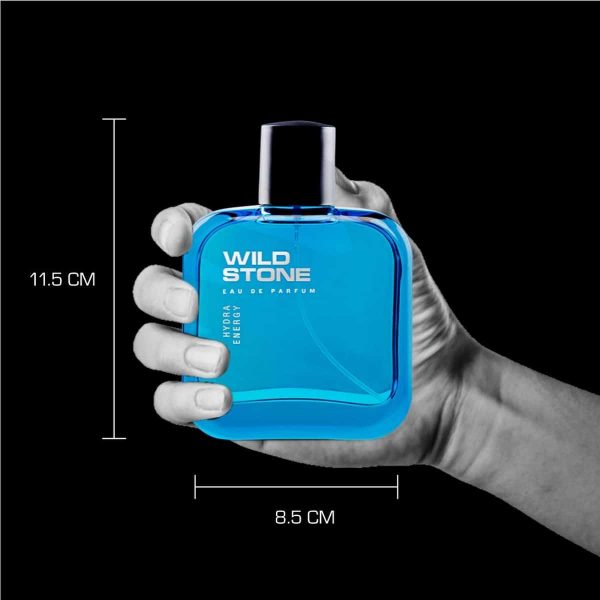 Wild Stone Hydra Energy Perfume (100 ml) - Image 3