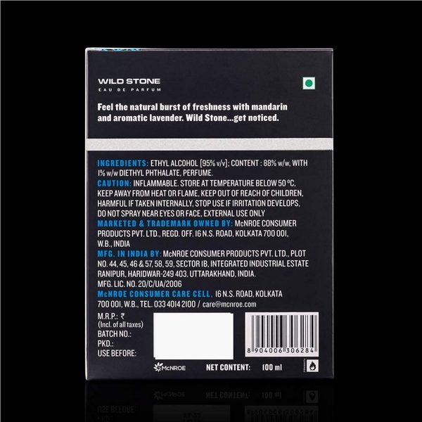 Wild Stone Hydra Energy Perfume (100 ml) - Image 6
